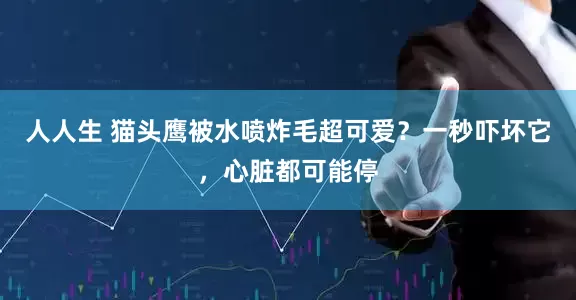 人人生 猫头鹰被水喷炸毛超可爱？一秒吓坏它，心脏都可能停