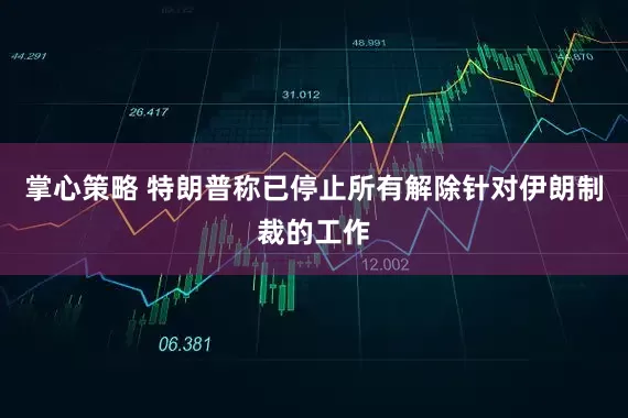 掌心策略 特朗普称已停止所有解除针对伊朗制裁的工作