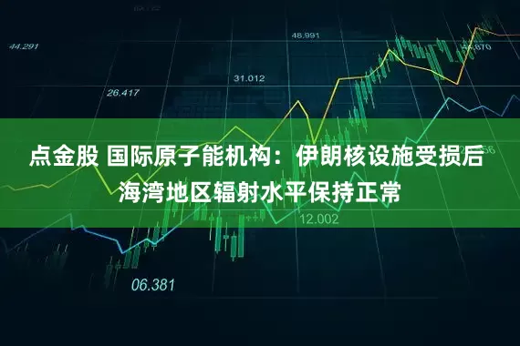 点金股 国际原子能机构：伊朗核设施受损后 海湾地区辐射水平保持正常