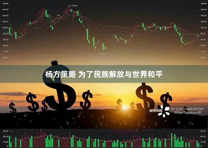 杨方策略 为了民族解放与世界和平