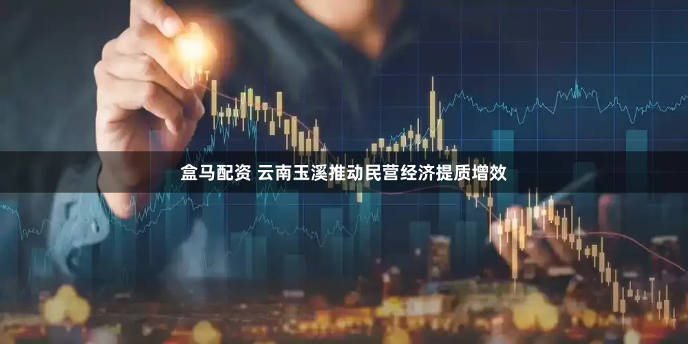 盒马配资 云南玉溪推动民营经济提质增效