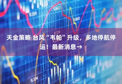 天金策略 台风“韦帕”升级，多地停航停运！最新消息→