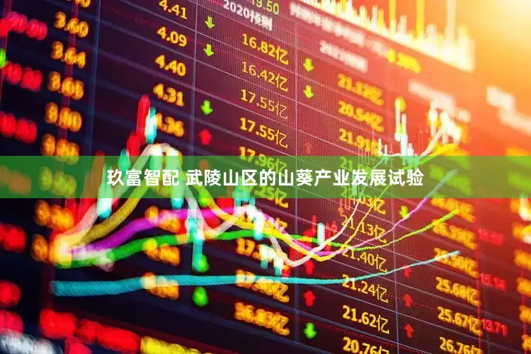 玖富智配 武陵山区的山葵产业发展试验