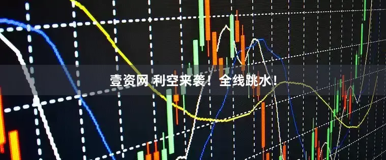 壹资网 利空来袭！全线跳水！
