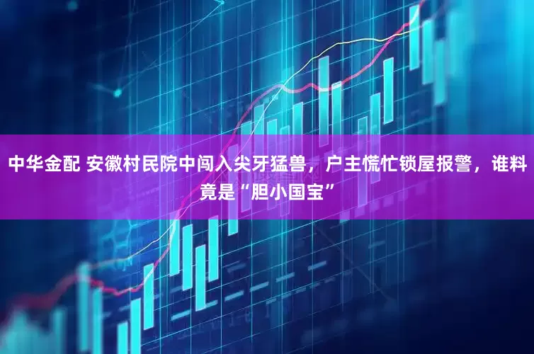 中华金配 安徽村民院中闯入尖牙猛兽，户主慌忙锁屋报警，谁料竟是“胆小国宝”